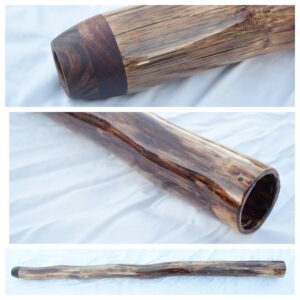 Didgeridoo #662 Key: D