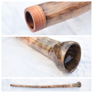 Didgeridoo #668  Key: F